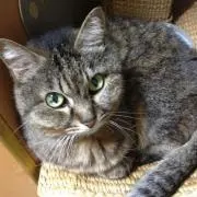 Chikaの画像