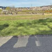 わほほ
