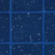 あひる
