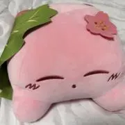 さくらもち（プロフ必読でお願いします。）の画像