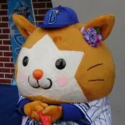 横浜DeNAベイスターズ 宮﨑敏郎 実使用 リストサポーター マクダビッド