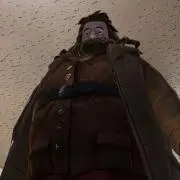 ソラの画像