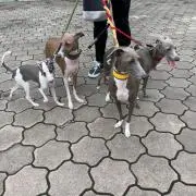 まひるの画像