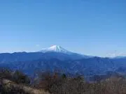 go to hide