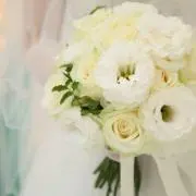 cocoの画像