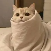 楽らくの画像