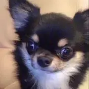 ルーくんの画像