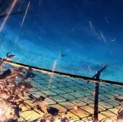 733の画像
