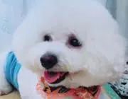 ぱるきーすのママの画像