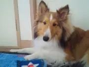 えみ(プロフィールをみてください)通院中の画像