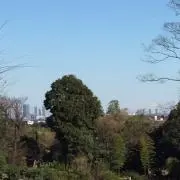 力