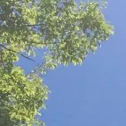 10☆の画像