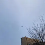 スナギモの画像
