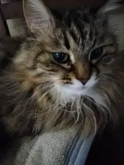 REEの画像