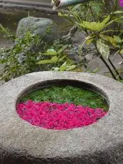 ykosegawa
