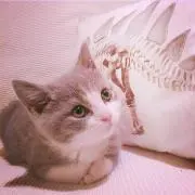 はる
