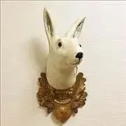 cojifyの画像
