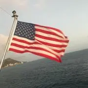 まの画像
