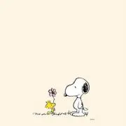 yu_chan（プロフ必読）の画像