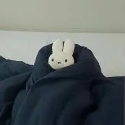 あっぺチャンの画像
