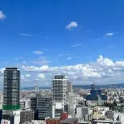 シン