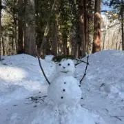 ましろの画像