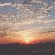 えりり