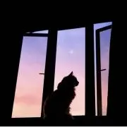 re.の画像