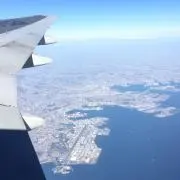 zhenzhiの画像