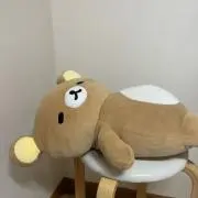 くまさん（・(ェ)・）の画像