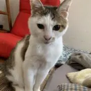 まる福本舗の画像