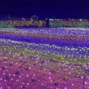 K3MHの画像