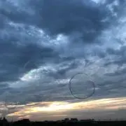 ひいの画像