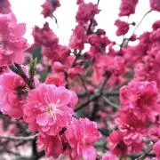 mayunの画像