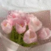 ににの画像