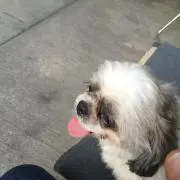 rあーる