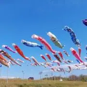 ⭐︎morimori⭐︎の画像