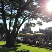 ニモの画像