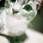 soraちゃんの画像