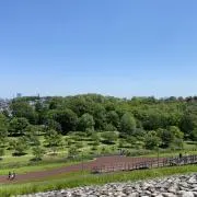 Aの画像