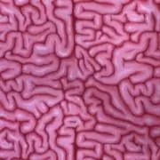 ｙｙの画像
