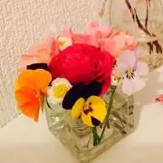 みぃ