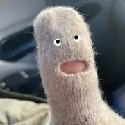 ぽこの画像