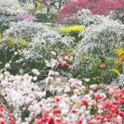 m．の画像