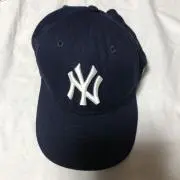 アロエの画像