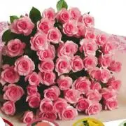 Roseの画像