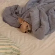 ayの画像