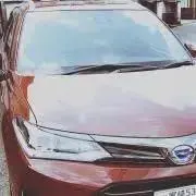 TYの画像