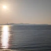 あるふぁの画像