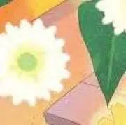 なつの画像